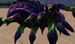 元神卡什最新爆料,揭秘神秘力量与未知冒险